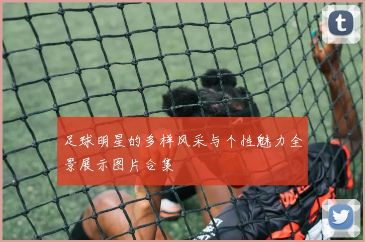 足球明星的多样风采与个性魅力全景展示图片合集