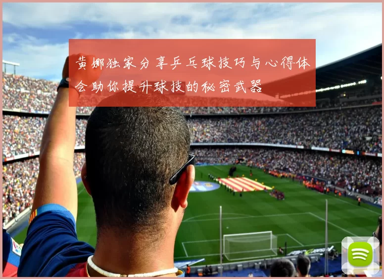 黄娜独家分享乒乓球技巧与心得体会助你提升球技的秘密武器