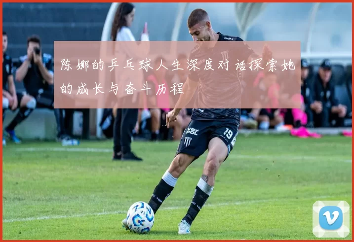 陈娜的乒乓球人生深度对话探索她的成长与奋斗历程