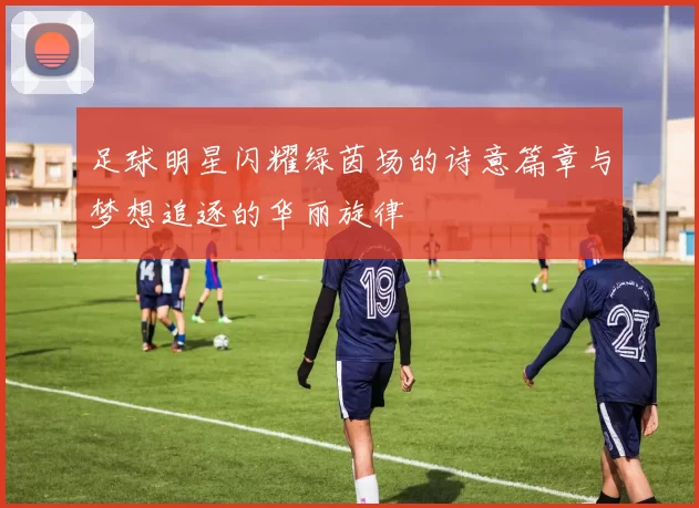 足球明星闪耀绿茵场的诗意篇章与梦想追逐的华丽旋律