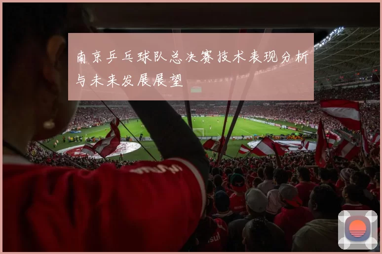 南京乒乓球队总决赛技术表现分析与未来发展展望