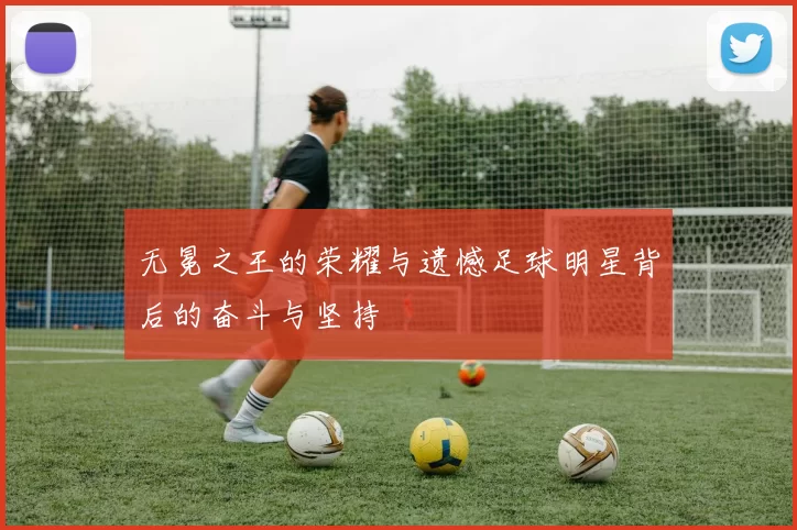 无冕之王的荣耀与遗憾足球明星背后的奋斗与坚持