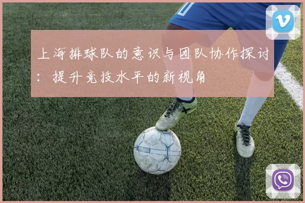 上海排球队的意识与团队协作探讨：提升竞技水平的新视角