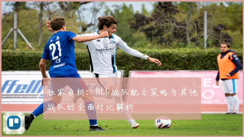 独家分析：BLG战队配合策略与其他战队的全面对比解析