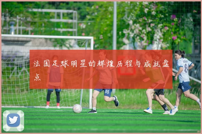 法国足球明星的辉煌历程与成就盘点
