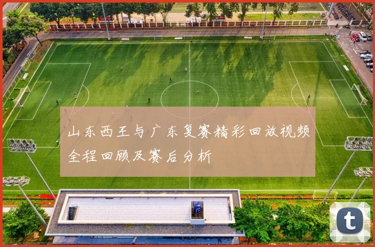 山东西王与广东复赛精彩回放视频全程回顾及赛后分析