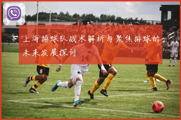 上海排球队战术解析与聚焦排球的未来发展探讨