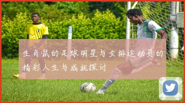 生肖鼠的足球明星与女排运动员的精彩人生与成就探讨