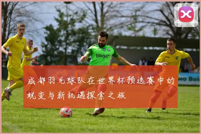 成都羽毛球队在世界杯预选赛中的蜕变与新机遇探索之旅