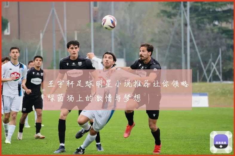 王宇轩足球明星小说推荐让你领略绿茵场上的激情与梦想