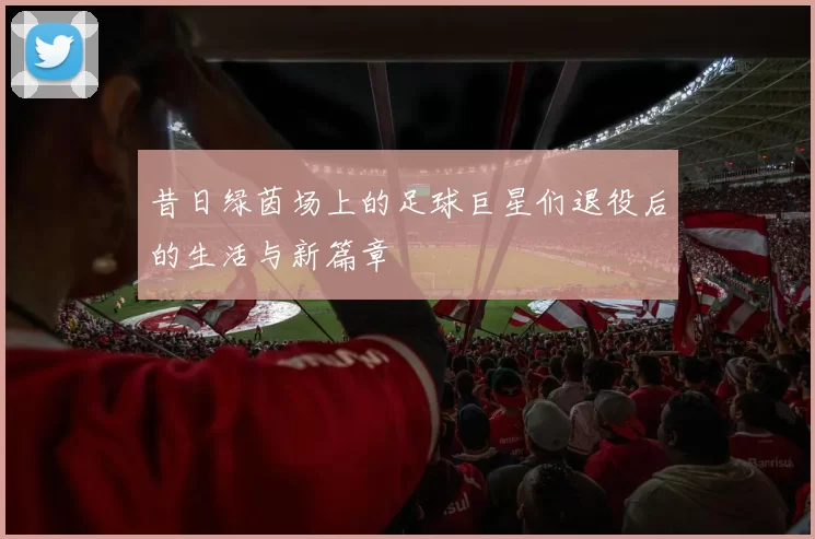 昔日绿茵场上的足球巨星们退役后的生活与新篇章