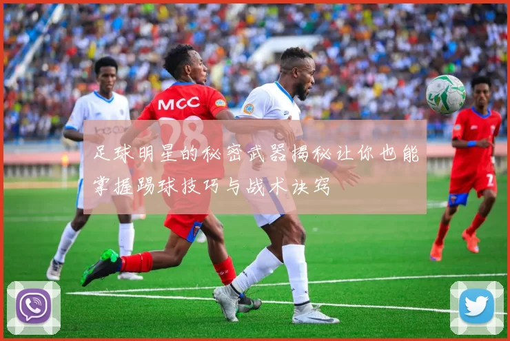 足球明星的秘密武器揭秘让你也能掌握踢球技巧与战术诀窍