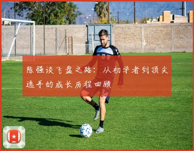 陈强谈飞盘之路：从初学者到顶尖选手的成长历程回顾