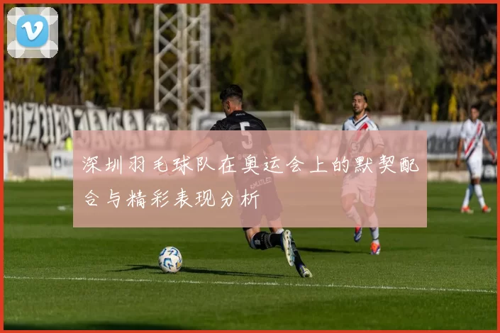 深圳羽毛球队在奥运会上的默契配合与精彩表现分析