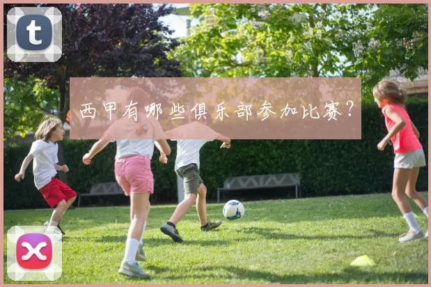 西甲有哪些俱乐部参加比赛？