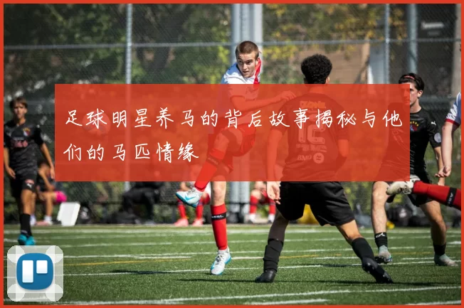 足球明星养马的背后故事揭秘与他们的马匹情缘
