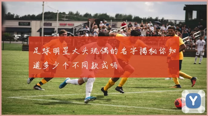 足球明星大头玩偶的名字揭秘你知道多少个不同款式吗