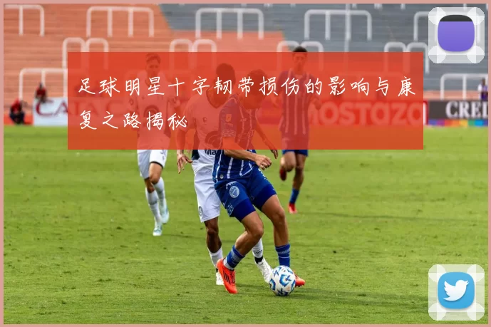 足球明星十字韧带损伤的影响与康复之路揭秘