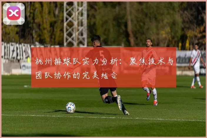 杭州排球队实力分析：聚焦技术与团队协作的完美结合
