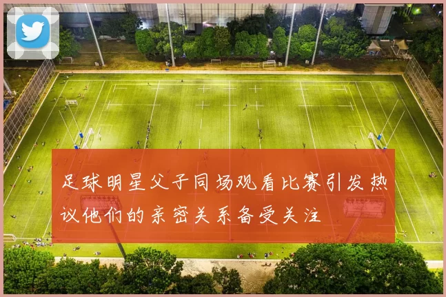 足球明星父子同场观看比赛引发热议他们的亲密关系备受关注