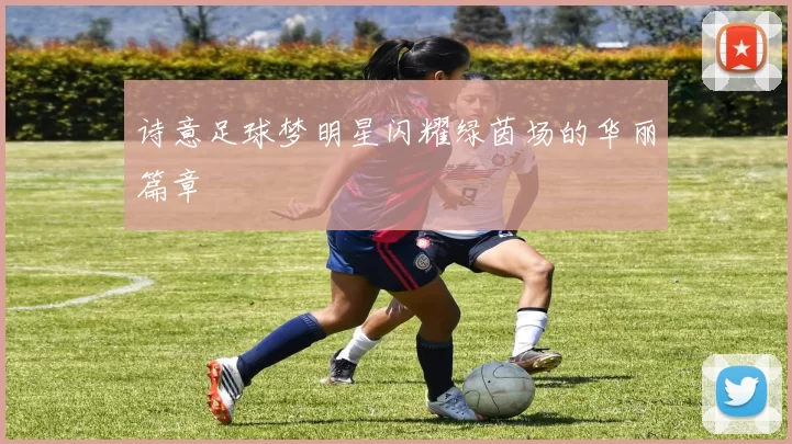 诗意足球梦明星闪耀绿茵场的华丽篇章