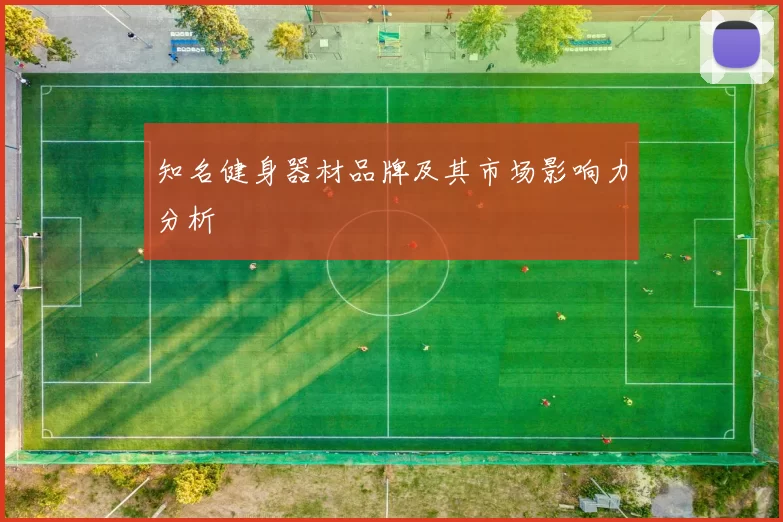 知名健身器材品牌及其市场影响力分析