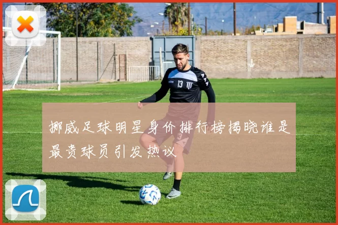 挪威足球明星身价排行榜揭晓谁是最贵球员引发热议