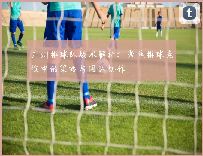 广州排球队战术解析：聚焦排球竞技中的策略与团队协作