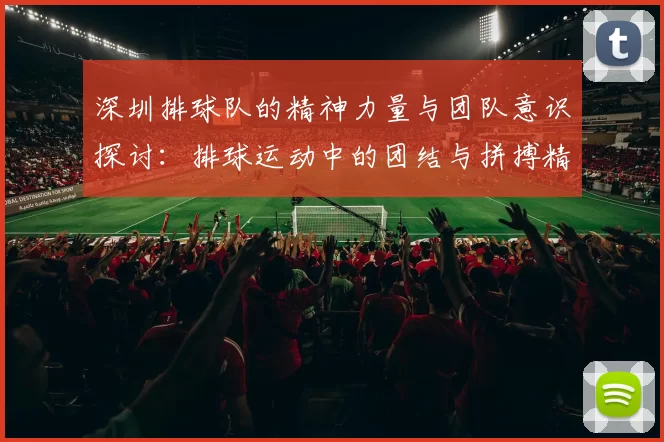 深圳排球队的精神力量与团队意识探讨：排球运动中的团结与拼搏精神