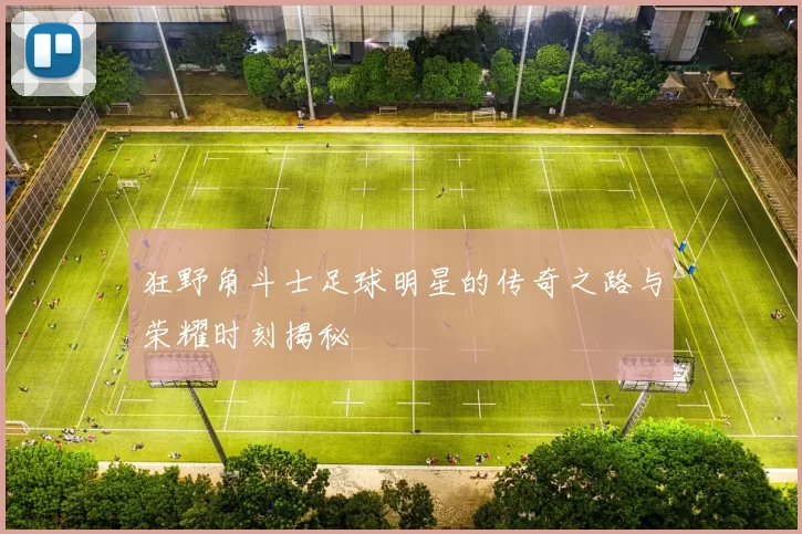 狂野角斗士足球明星的传奇之路与荣耀时刻揭秘