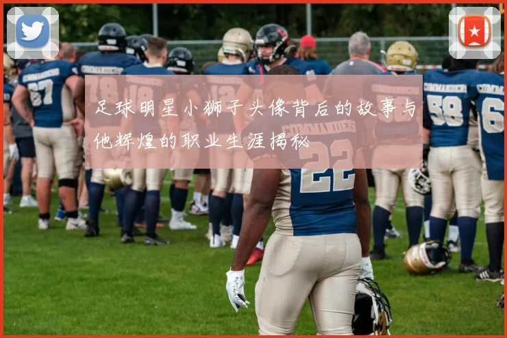 足球明星小狮子头像背后的故事与他辉煌的职业生涯揭秘