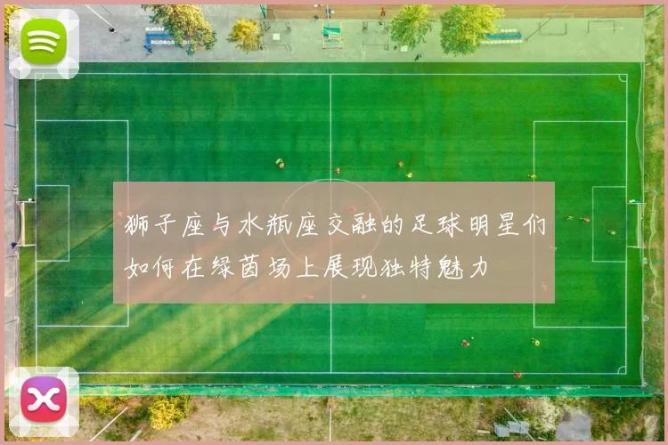 狮子座与水瓶座交融的足球明星们如何在绿茵场上展现独特魅力