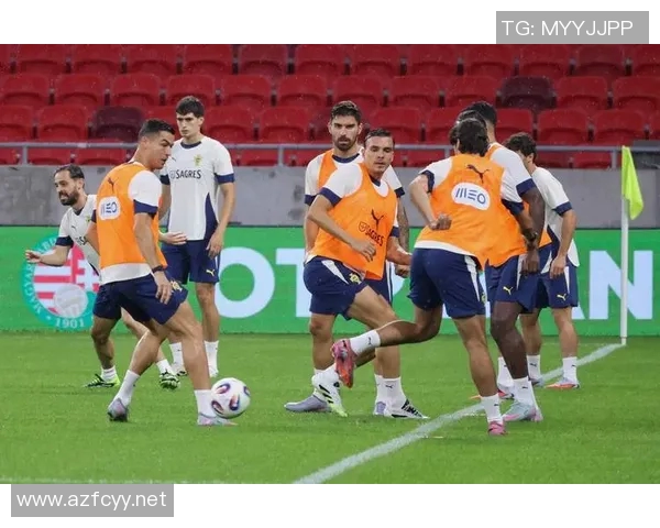 葡萄牙足球超级联赛新赛季展望 强队争锋与新星崛起的激烈竞争